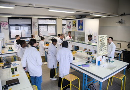 Département Biologie