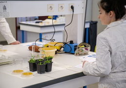 Département Biologie