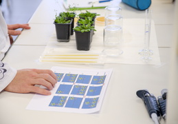 Département Biologie