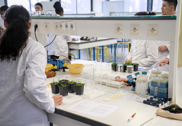 Département Biologie