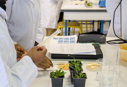 Département Biologie