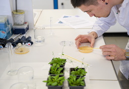 Département Biologie