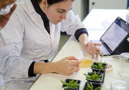 Département Biologie