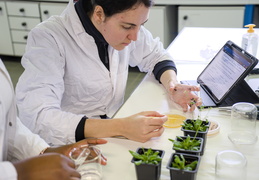 Département Biologie