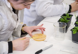 Département Biologie