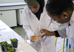 Département Biologie