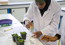 Département Biologie