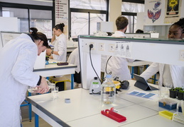 Département Biologie