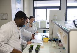 Département Biologie