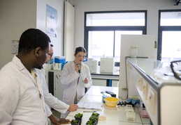 Département Biologie