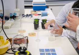 Département Biologie