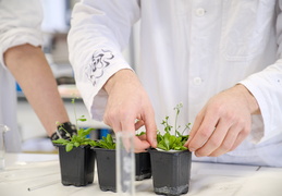 Département Biologie