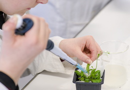 Département Biologie