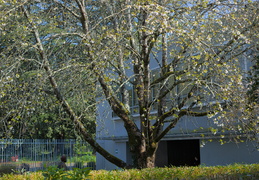 Institut de géographie et d'aménagement, bâtiment 5