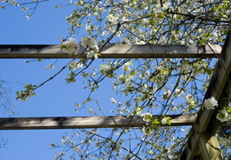 Institut de géographie et d'aménagement, bâtiment 5