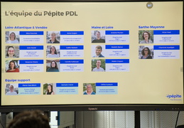 Pépite des Pays de la Loire