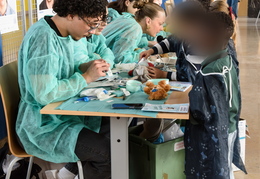 Hôpital des nounours