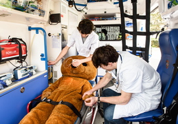 Hôpital des nounours