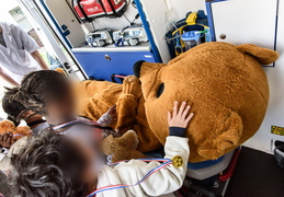 Hôpital des nounours
