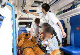 Hôpital des nounours