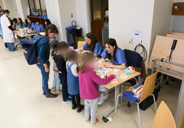 Hôpital des nounours