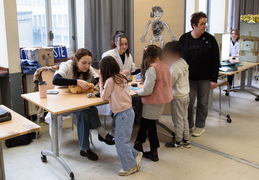Hôpital des nounours
