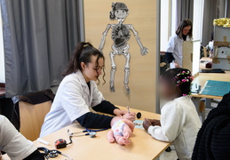 Hôpital des nounours
